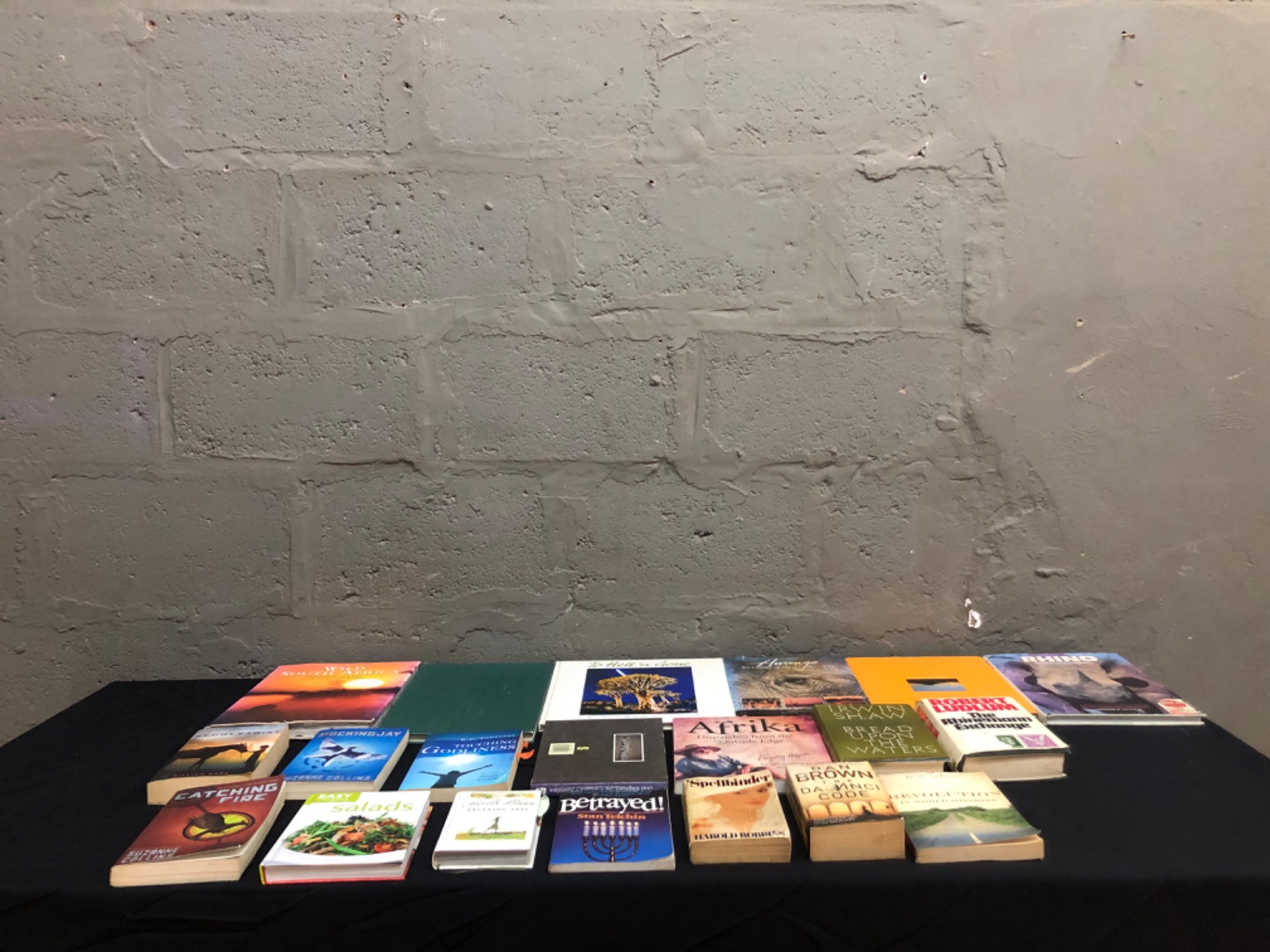 Lot of 20 Mixed Paperback & Hardback Books — Catching Fire, Mockingjay, Da Vinci Code + Illustrated South Africa/Rhino Volumes